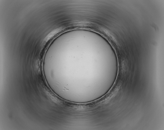 X0000113260970200910011404