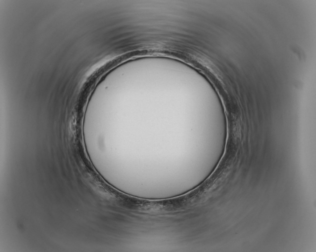 X0000113260971200910011404