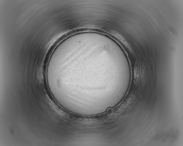 X0000113260972200910011404