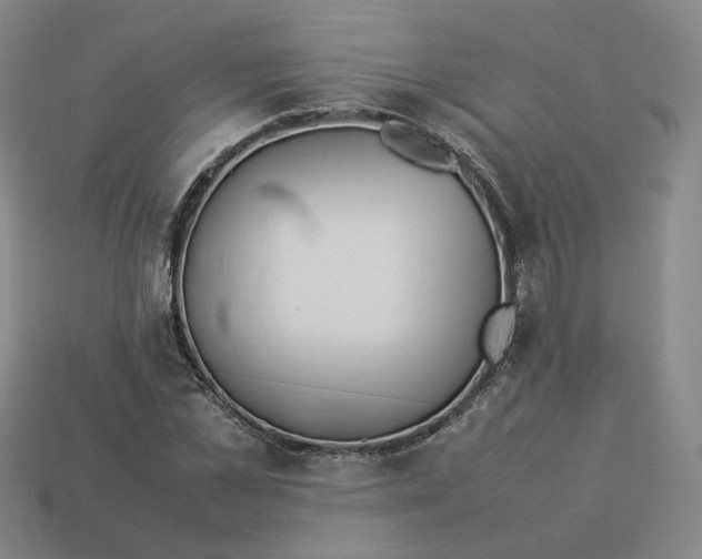 X0000113260973200910011404