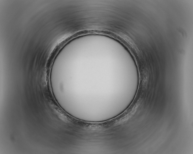 X0000113260974200910011404