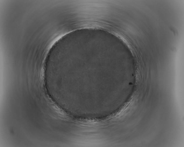 X0000113260975200910011404