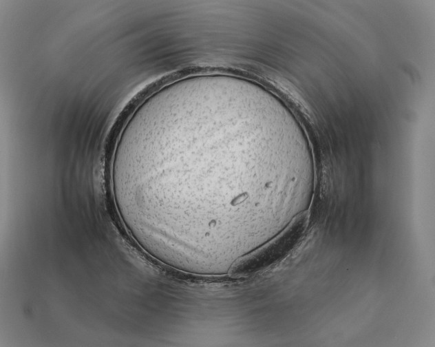 X0000113260976200910011404