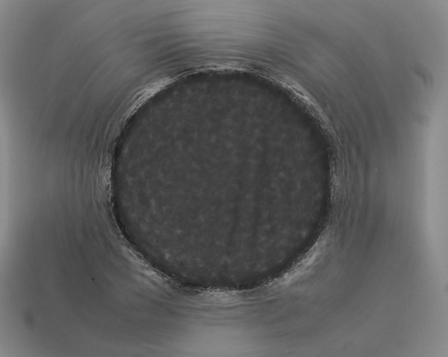 X0000113260977200910011404