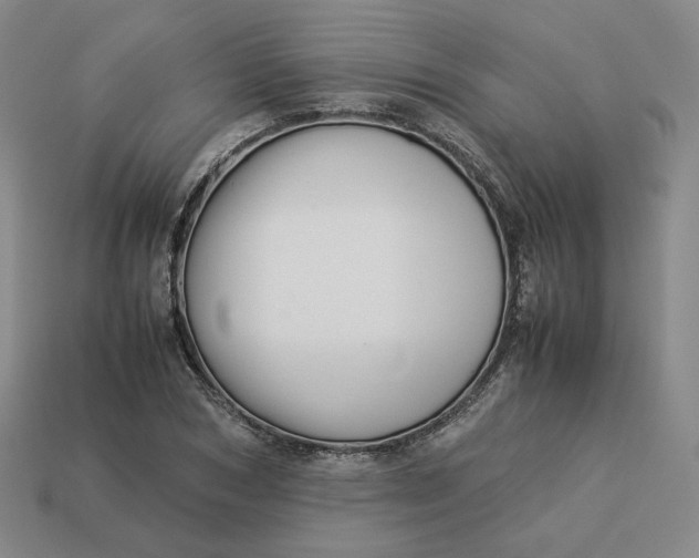 X0000113260978200910011404