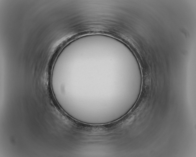 X0000113260979200910011404