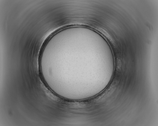 X0000113260980200910011404