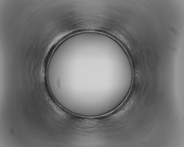 X0000113260981200910011404