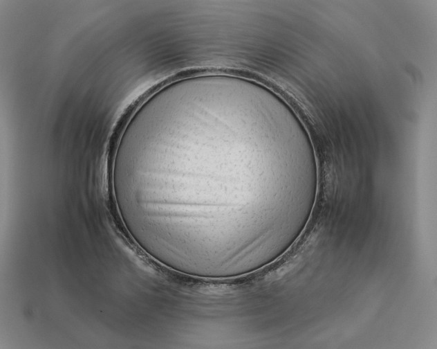 X0000113260982200910011404