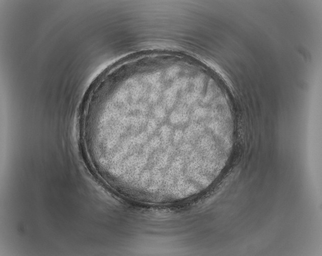 X0000113260983200910011404