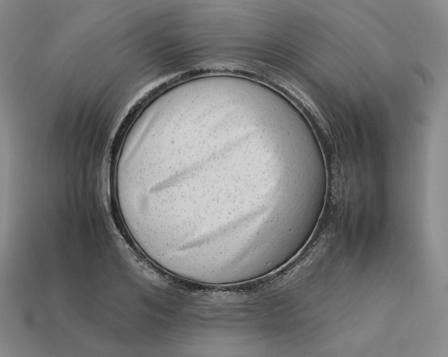 X0000113260984200910011404