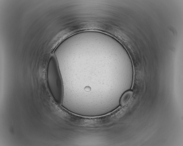 X0000113260985200910011404