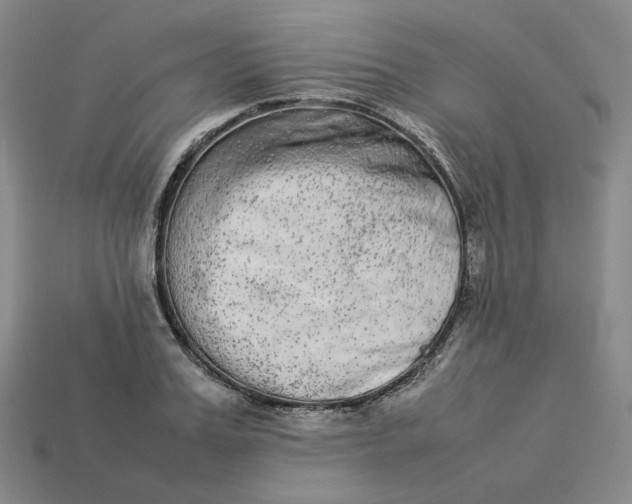 X0000113260987200910011404