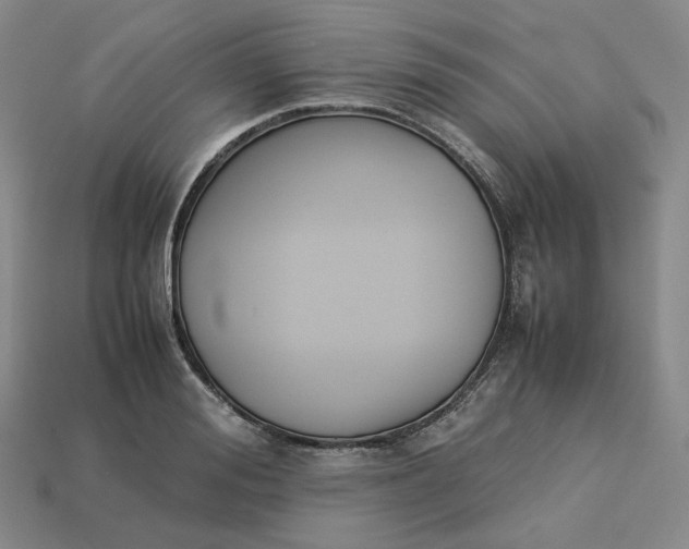 X0000113260988200910011404