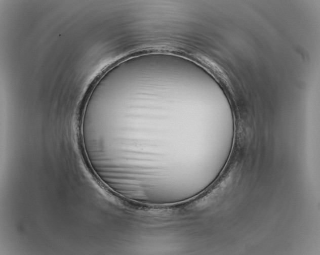 X0000113260989200910011404