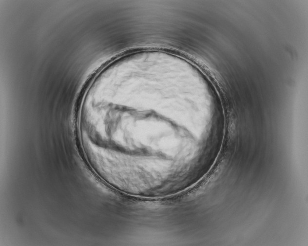 X0000113260990200910011404