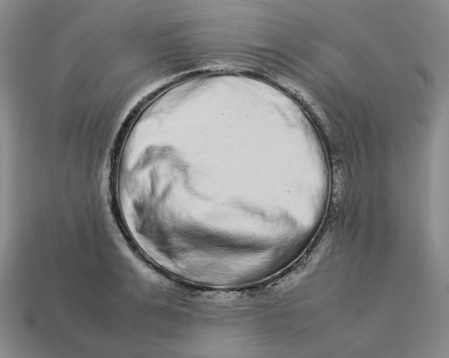 X0000113260991200910011404