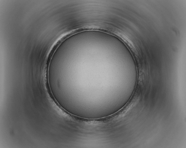 X0000113260992200910011404