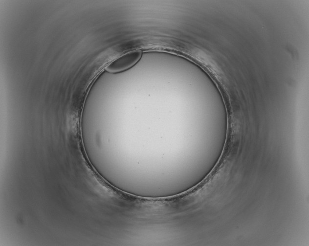 X0000113260993200910011404