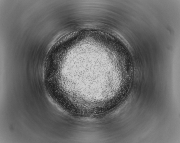 X0000113260994200910011404