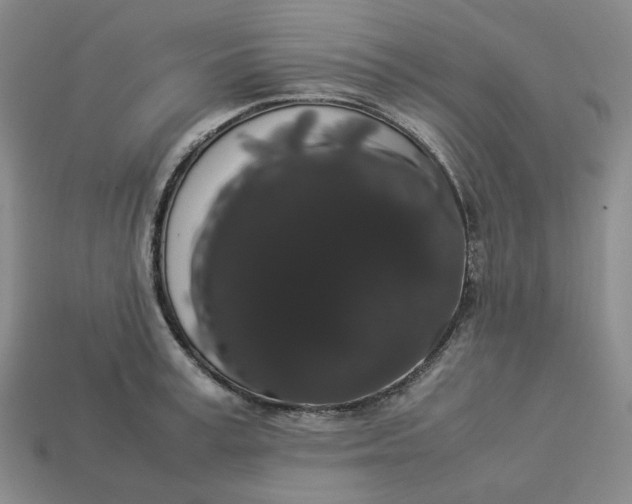 X0000113260995200910011404