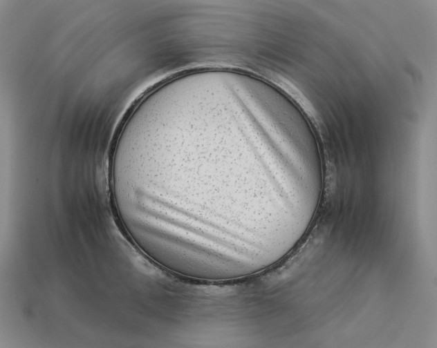 X0000113260996200910011404