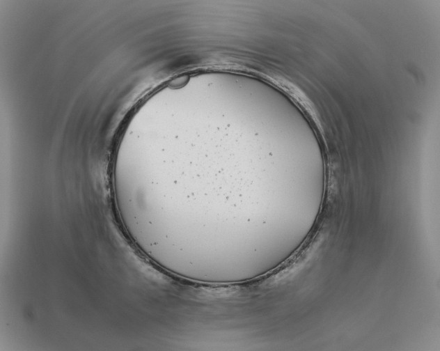 X0000113260997200910011404