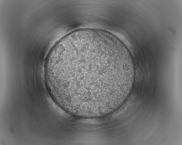 X0000113260998200910011403