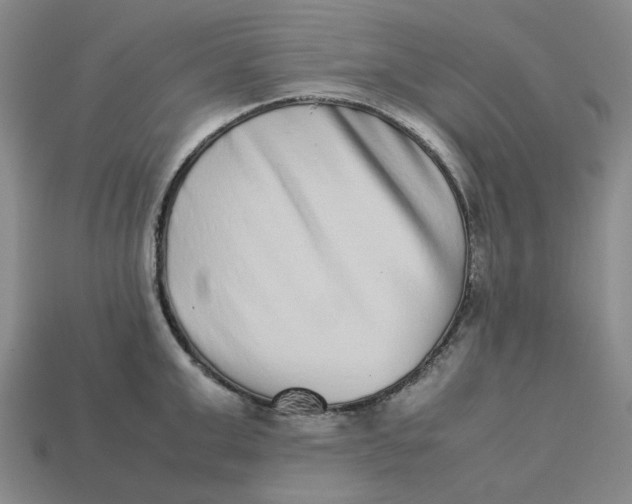 X0000113260999200910011403