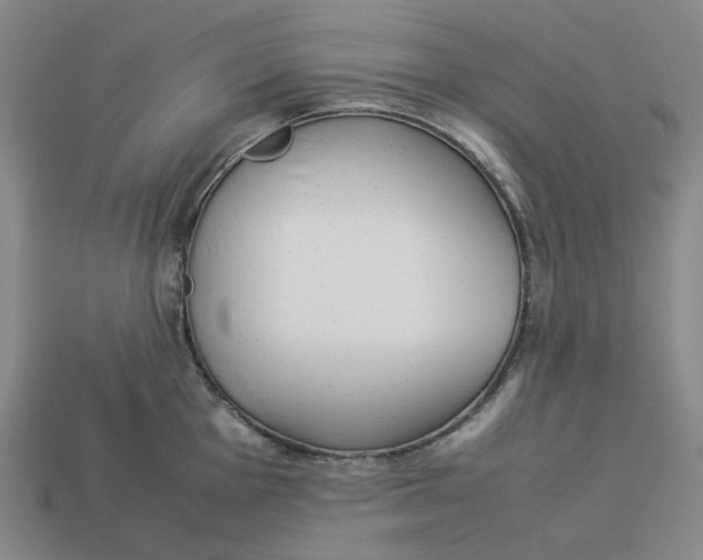 X0000113261001200910011403