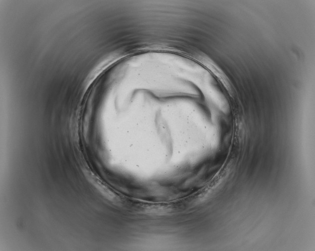 X0000113261002200910011403