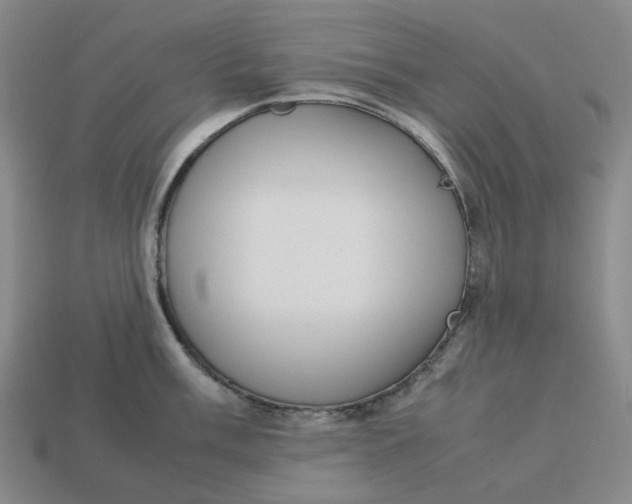 X0000113261003200910011403