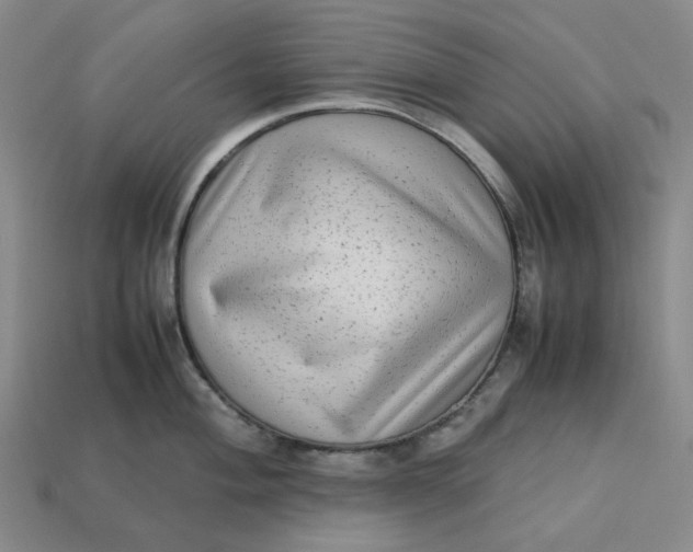 X0000113261004200910011403