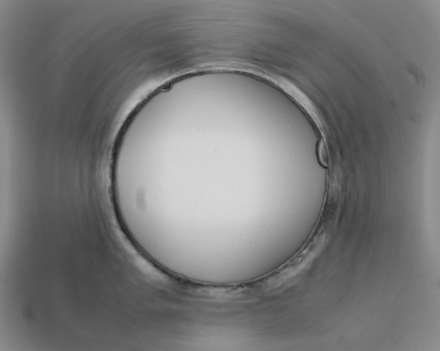 X0000113261005200910011403