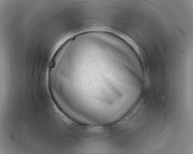 X0000113261006200910011403