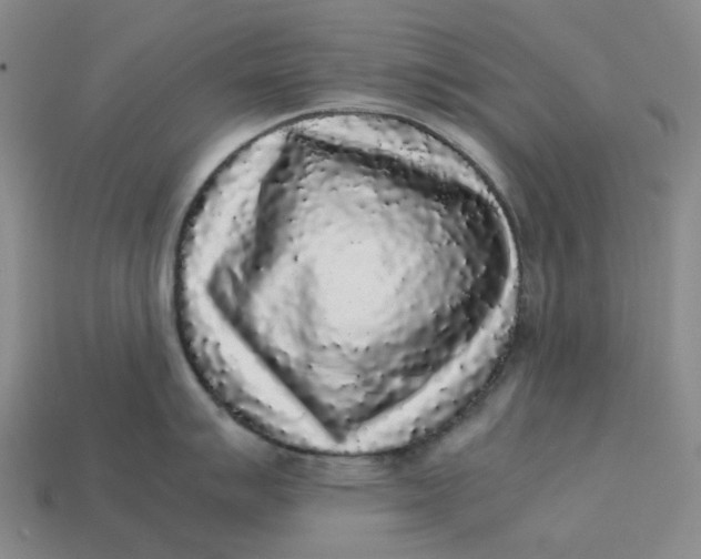 X0000113261007200910011403