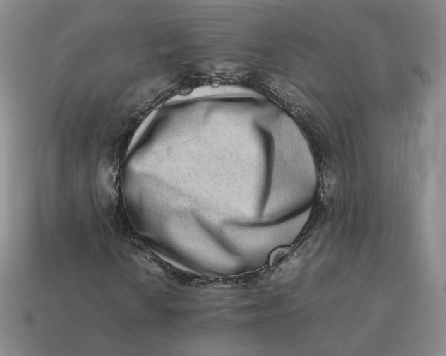 X0000113261010200910011403