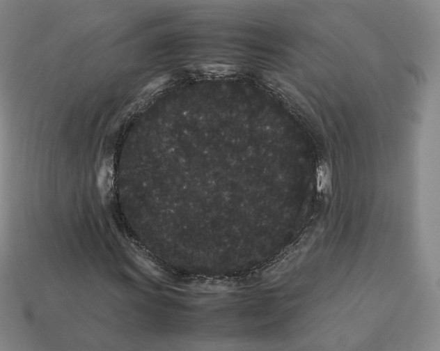 X0000113261011200910011403