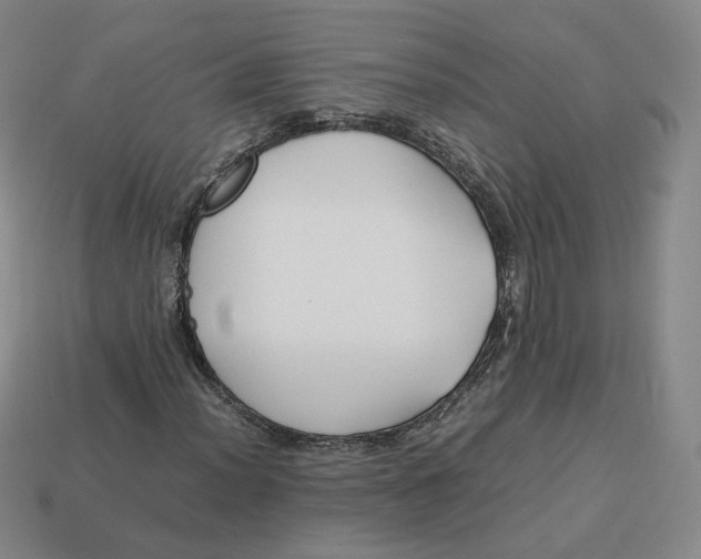 X0000113261012200910011403