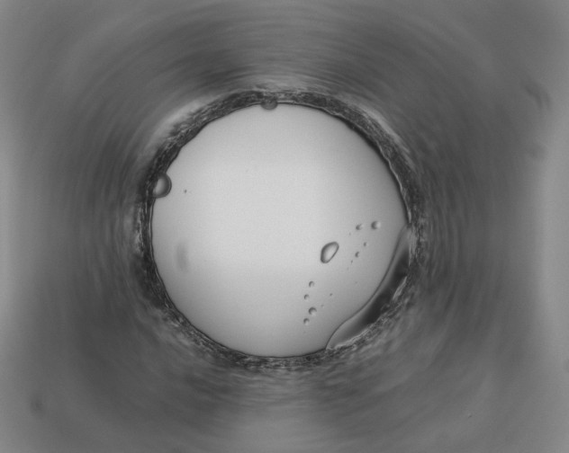 X0000113261016200910011403