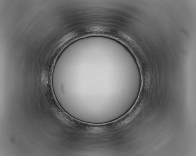 X0000113261017200910011403