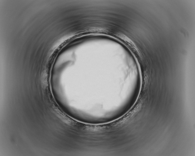 X0000113261019200910011403