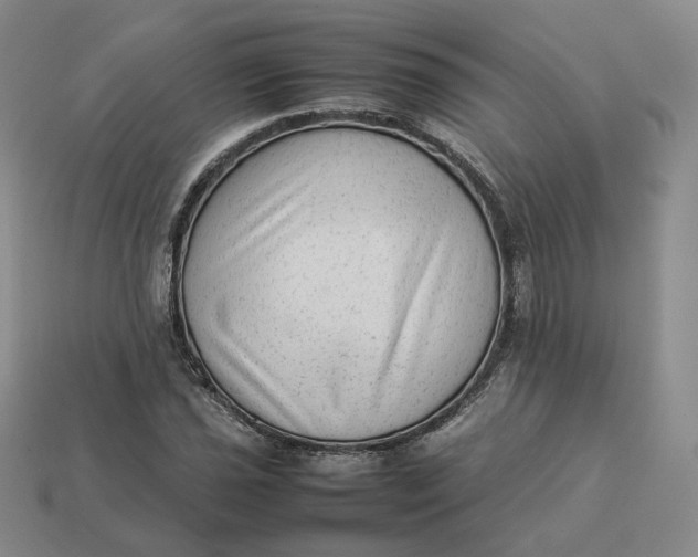 X0000113261021200910011403