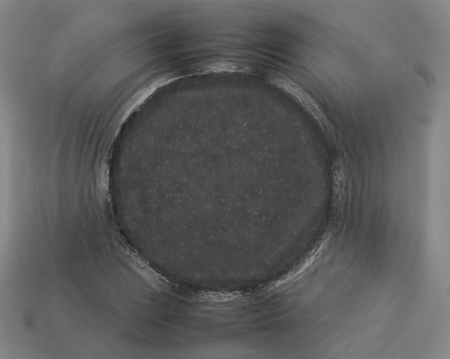 X0000113261023200910011403