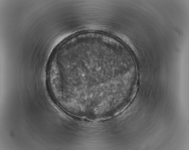 X0000113261024200910011403