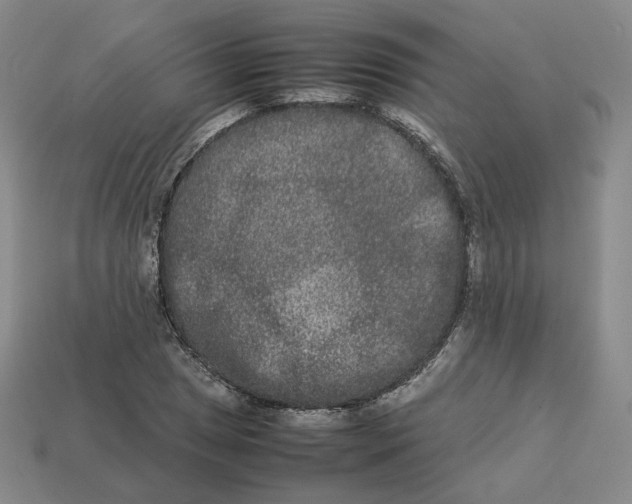 X0000113261025200910011403