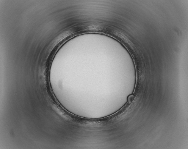 X0000113261026200910011403