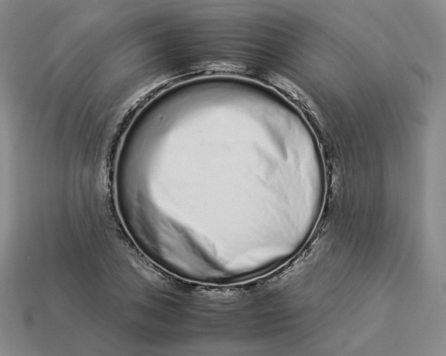 X0000113261027200910011403