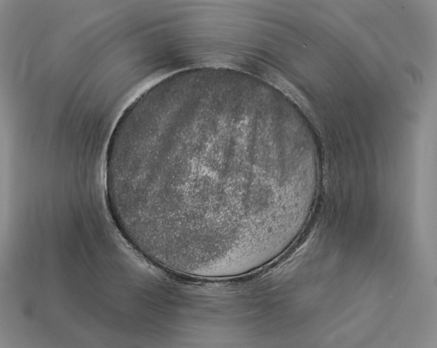 X0000113261028200910011403