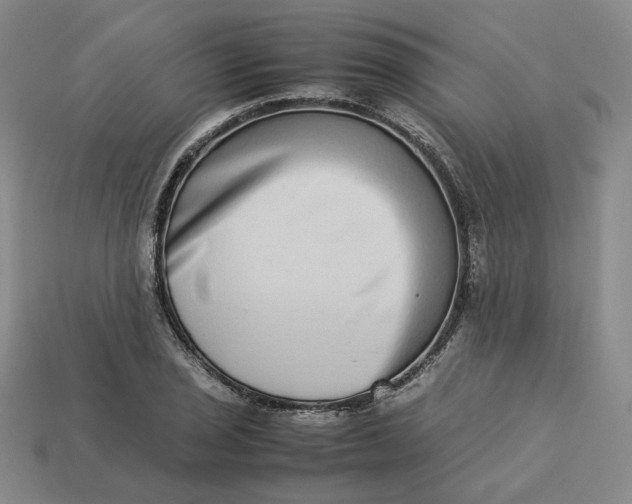 X0000113261029200910011403